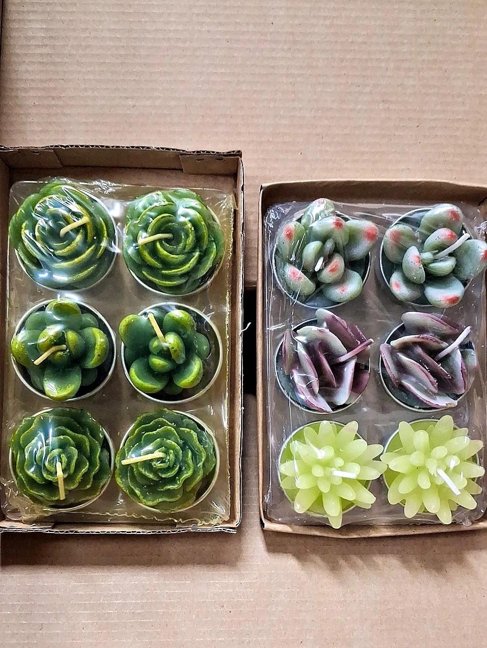 Decorative Succulent Tealight Candles
Set Of 12